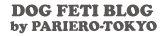 pariero-ny.com