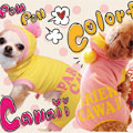 Cawaii Colorful Spring!!